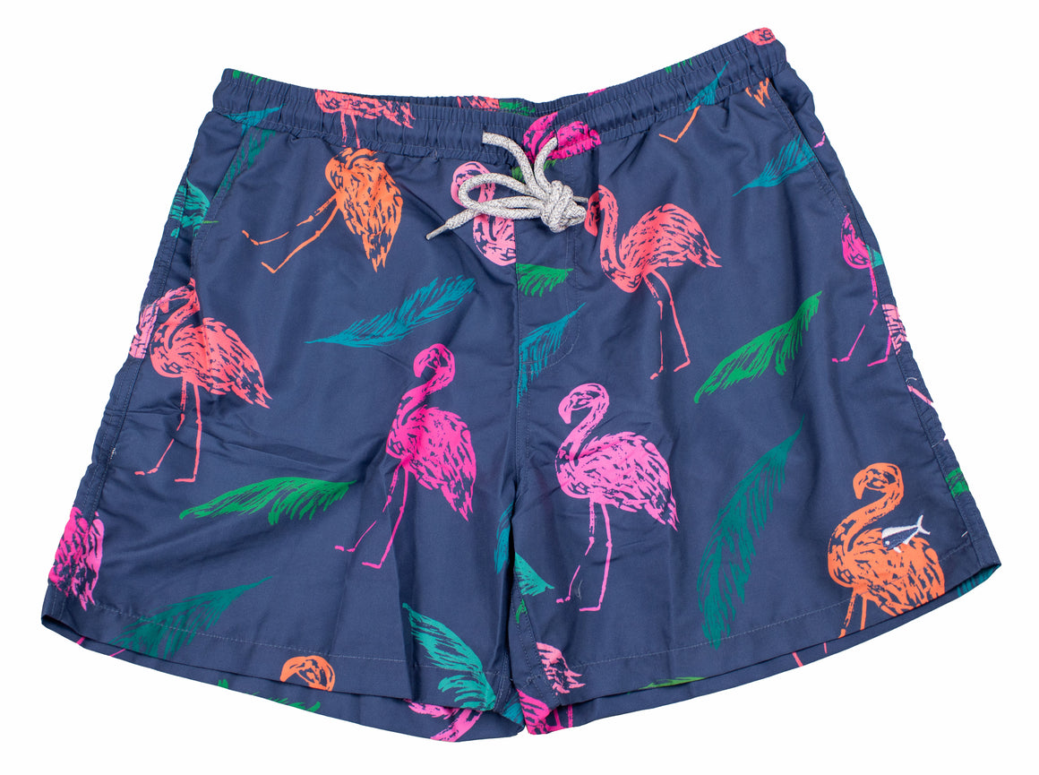 Boy's Youth Printed Swim - Flamingo Flight - Blue Marine