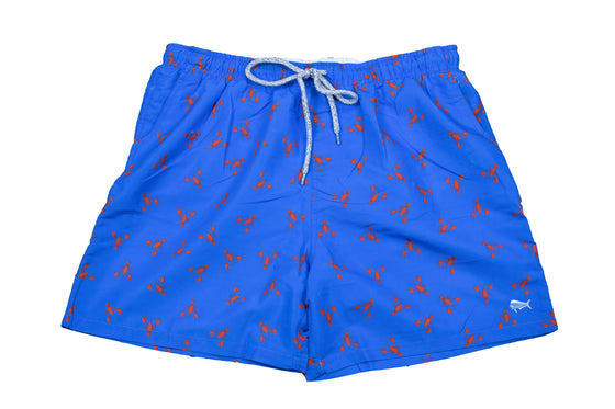 Men's Printed Swim - Lobster - Bright Blue