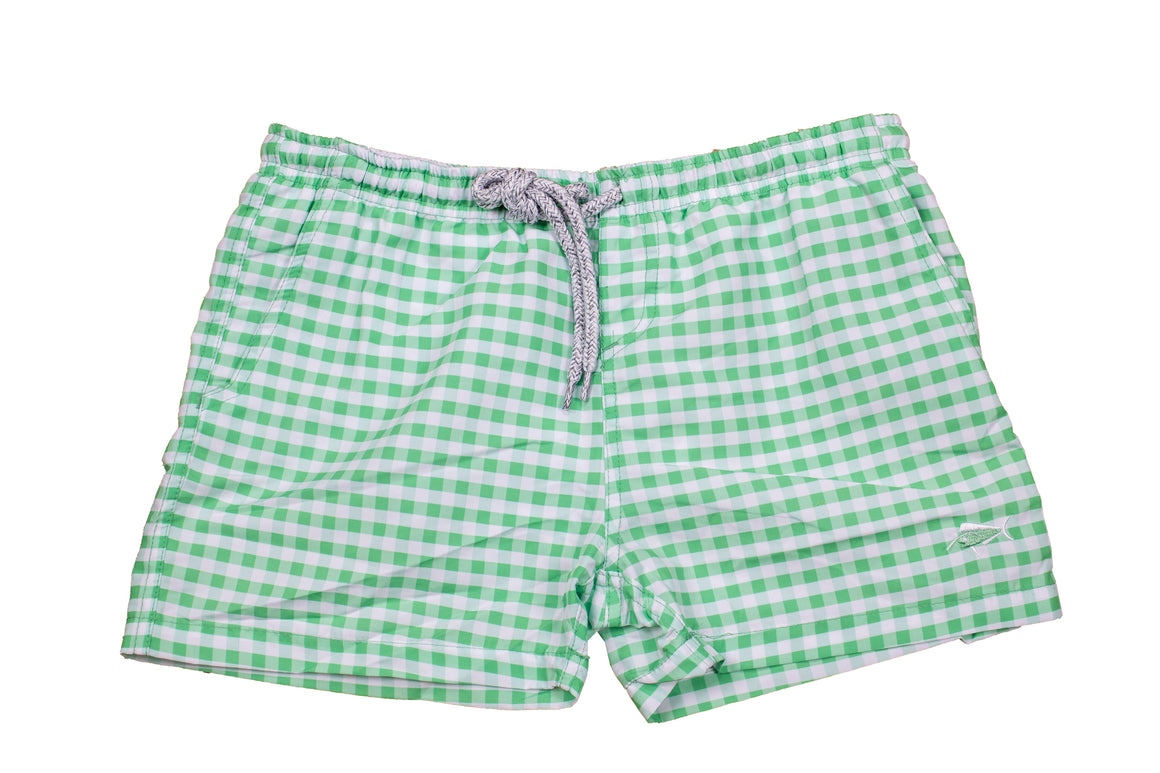 Boy's Youth & Toddler Gingham Swim - Mint