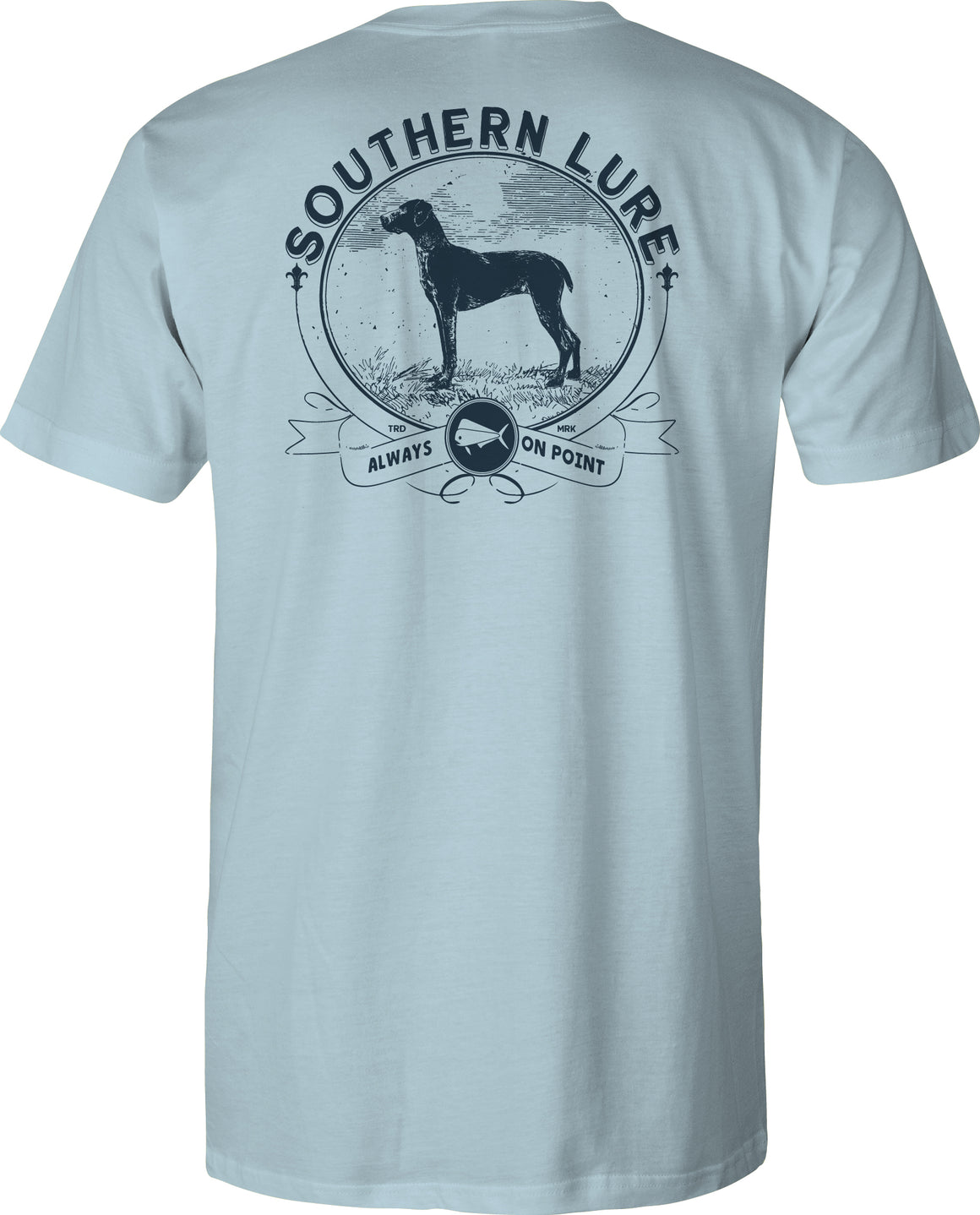 Toddler Short Sleeve Tee On Point - Sky Blue