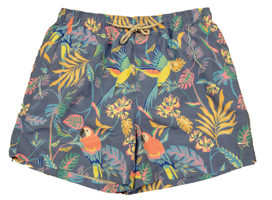 Men's Printed Swim - Parrots - Lilac