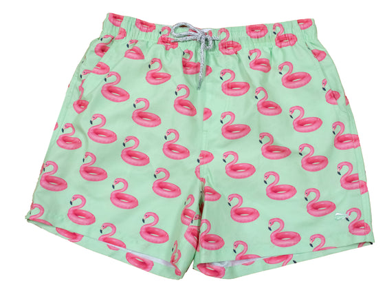 Boy's Youth & Toddler - Printed Swim - Flamingo Float - Mint