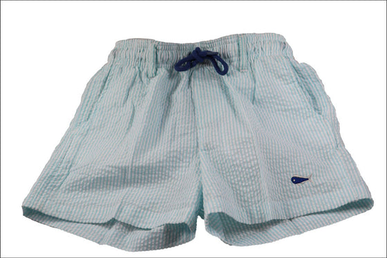 Youth and Toddler Seersucker Swim Trunks - Seafoam