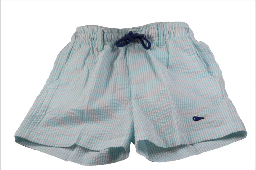 Youth and Toddler Seersucker Swim Trunks - Seafoam